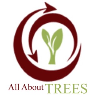 All About Trees Square Logo