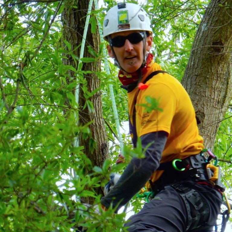 All About Trees Now Employs Two ISA Board Certified Master Arborists!