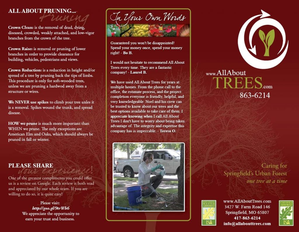 Free Brochure All About Trees - Springfield Missouri