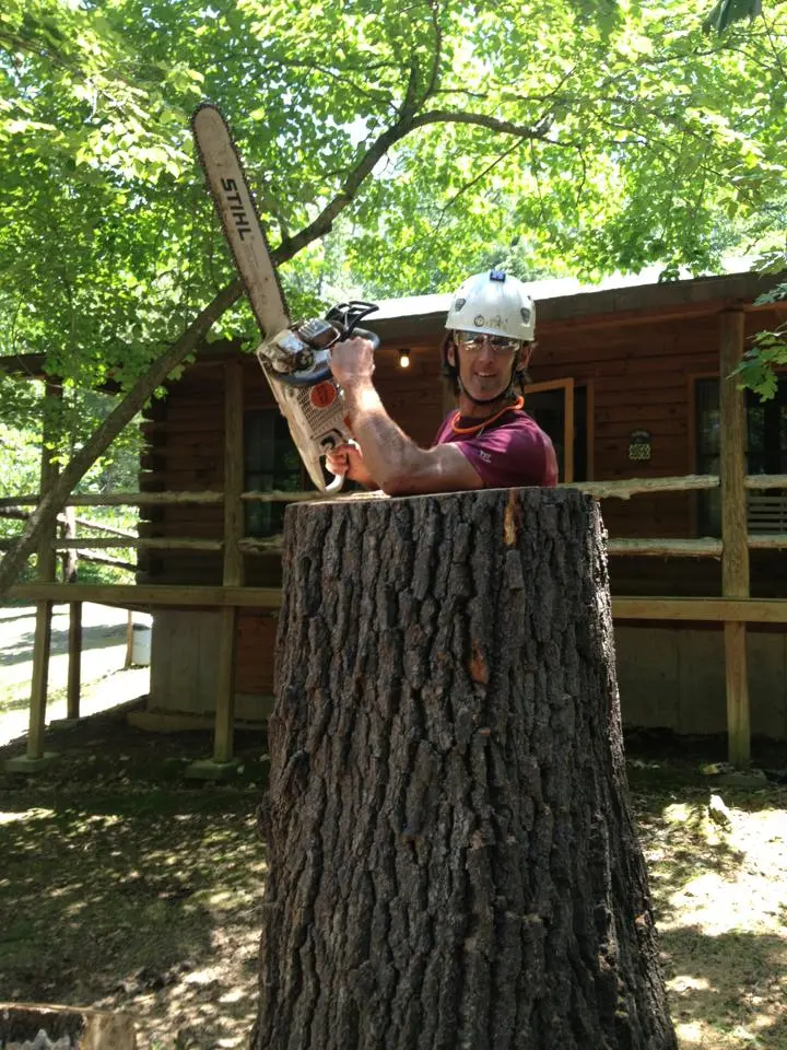 Person cutting a stump
