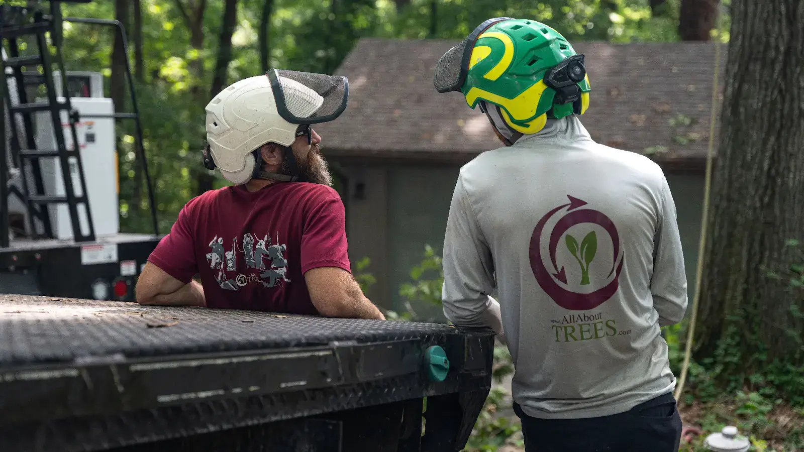 Professional talking about trees