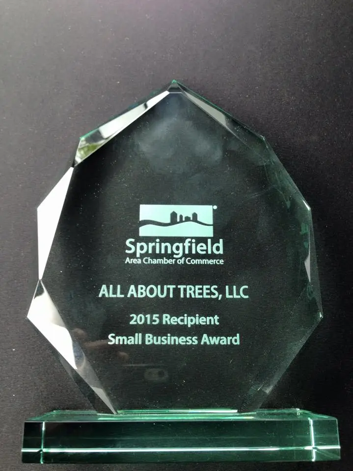 All About Trees was the 2015 Springfield Chamber of Commerce Small Business of the Year recipient. All About Trees was the 2015 Springfield Chamber of Commerce Small Business of the Year recipient.