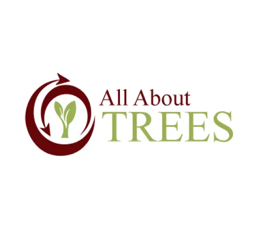 All about tree