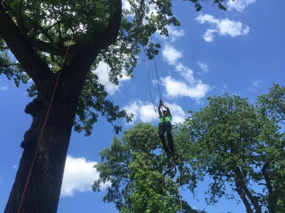 Secured Footlook Secured Footlook