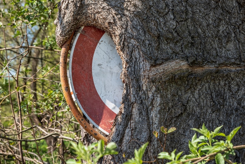 an old street sign that a tree trunk has grown around