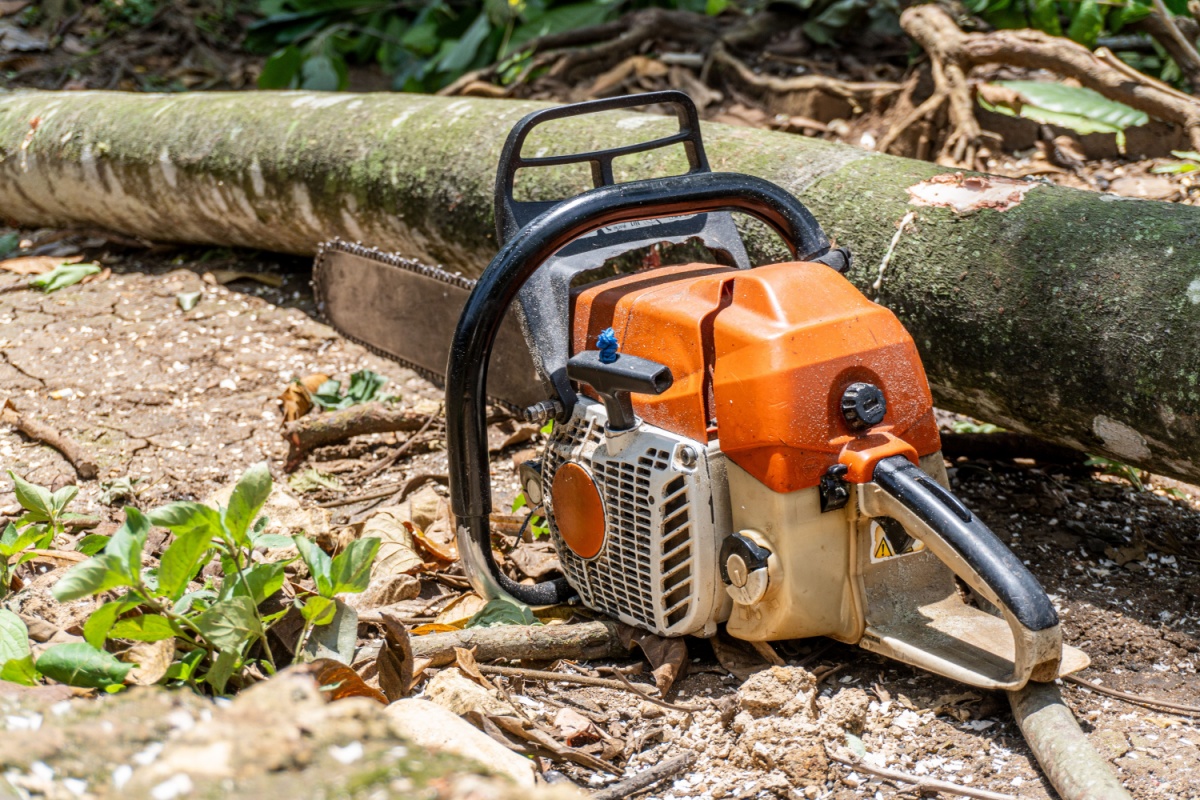 An orange and black chainsaw sitting on the ground next to a fallen tree during a DIY tree care attempt
